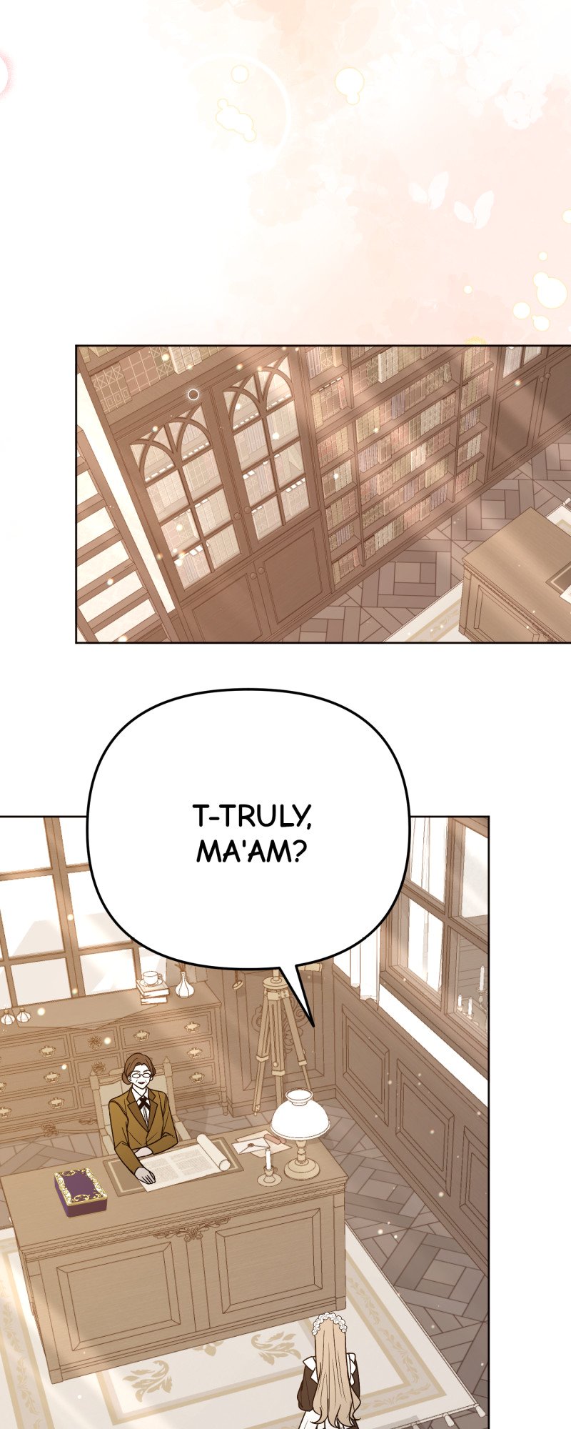 50297881 800 2000 223557